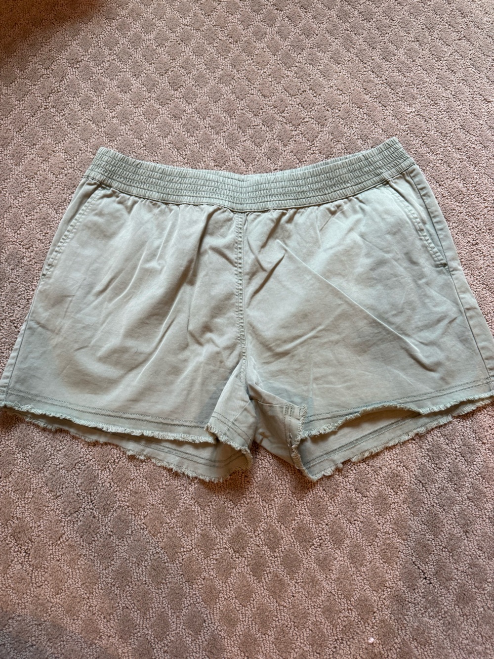 Vineyard Vines Light Sage Elastic-Waist Casual Shorts